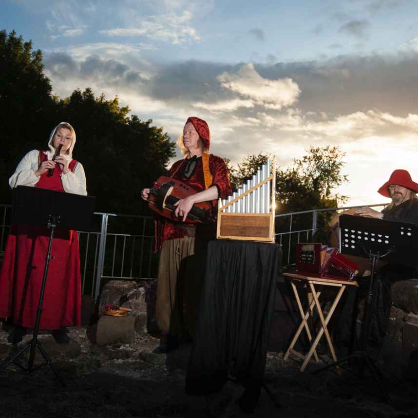 Wrexham folk performers